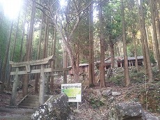 竹谷神社（たけだにじんじゃ）