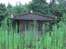 近戸神社（ちかどじんじゃ）