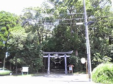 小鷹神社（こだかじんじゃ）